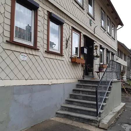 Appartement Haus Boesenberg à Altenau  Extérieur photo